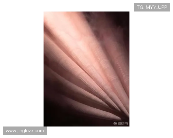 陕西联合2026赛季客场球衣灵感融合三花元素